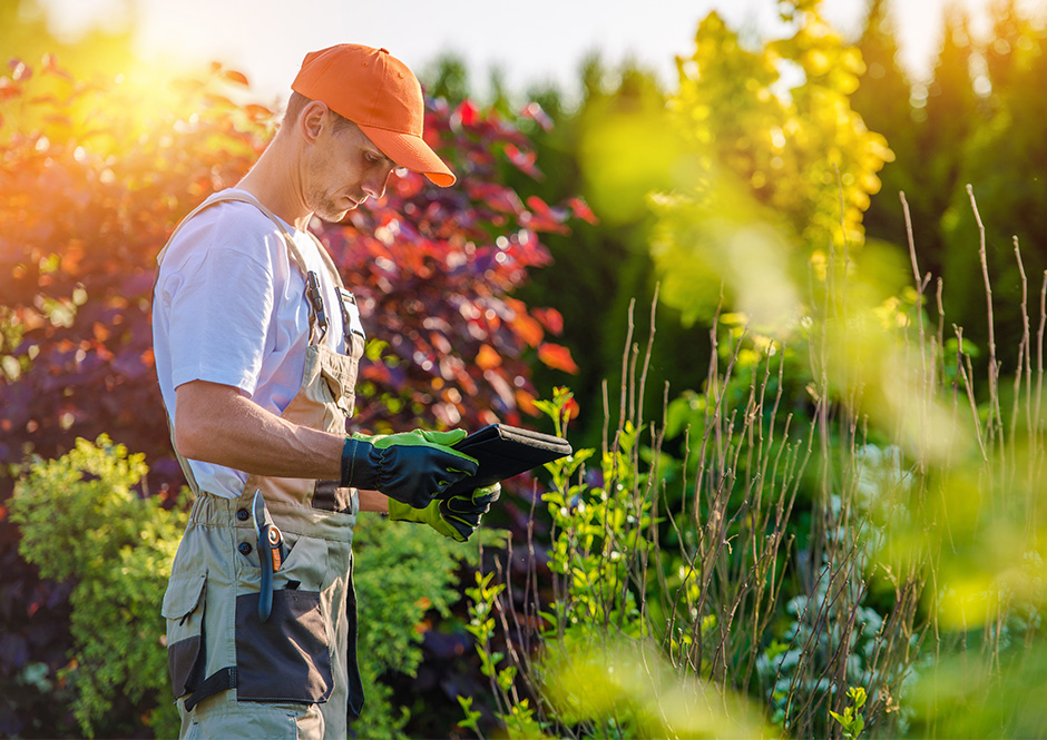 Servicios de jardinería
